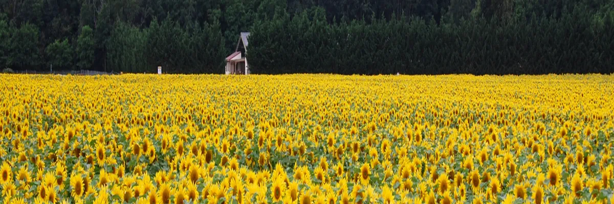 Image Pose abri de piscine Centre-Val de Loire