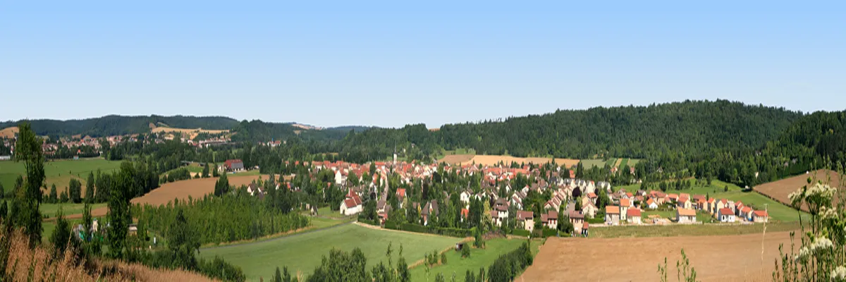 Image Pose abri de piscine Commercy