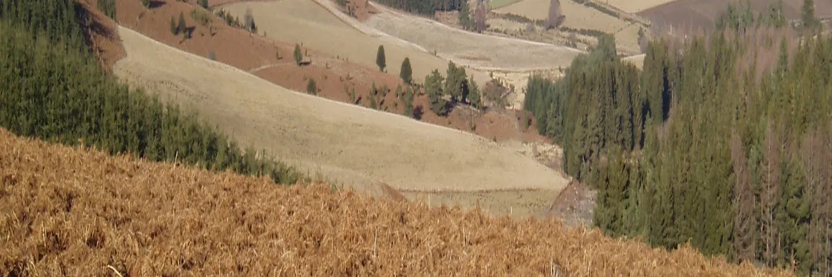 Image Pose abri de piscine Creuse