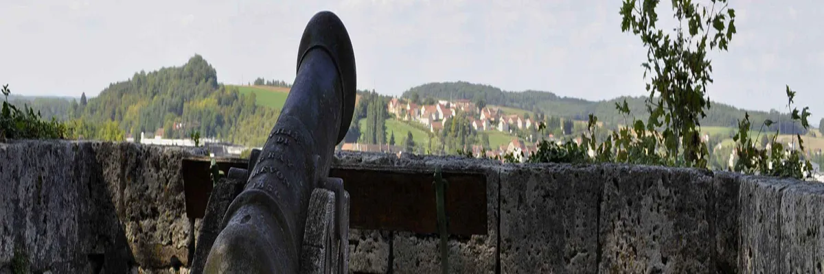 Image Pose abri de piscine Gray