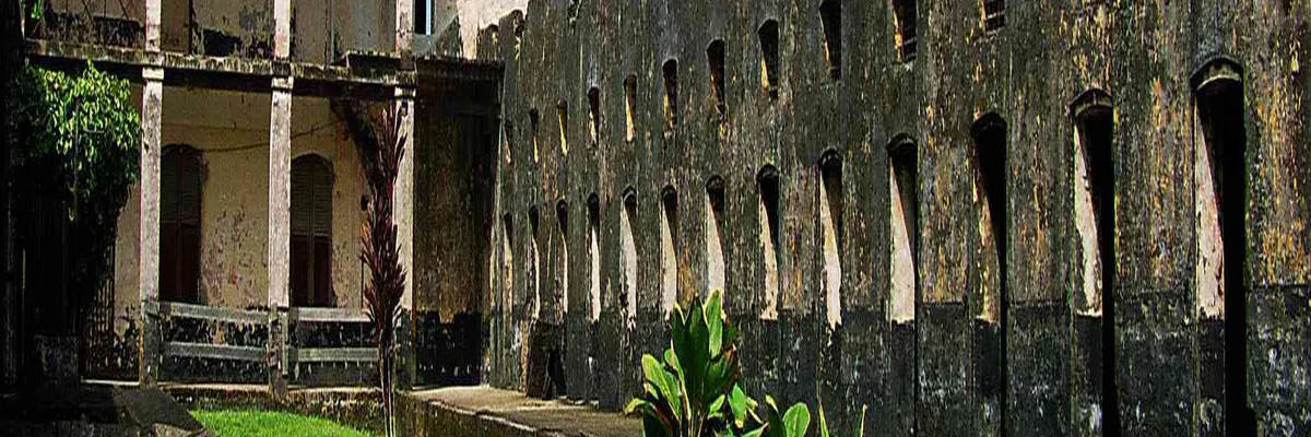 Image Pose abri de piscine Guyane