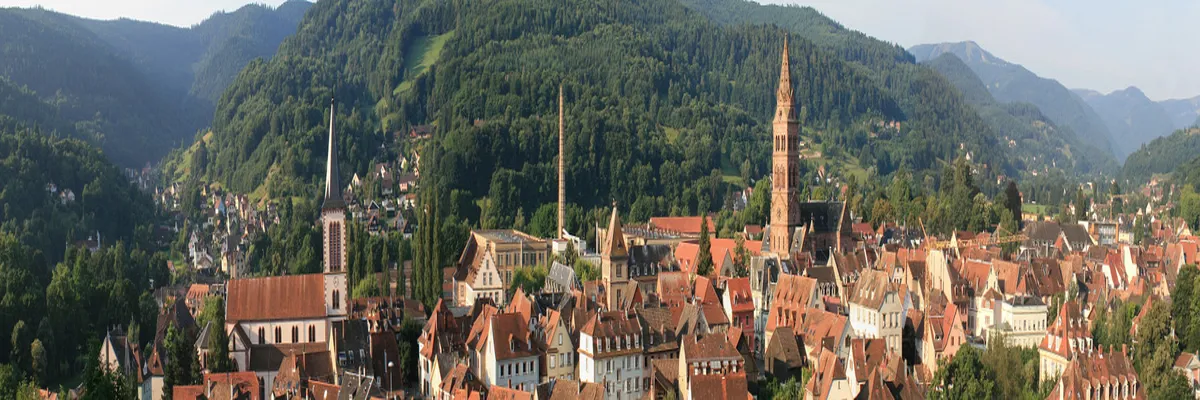 Image Pose abri de piscine Haut-Rhin