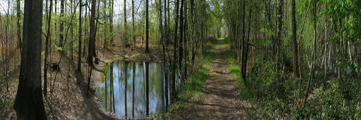 Image Pose abri de piscine Indre