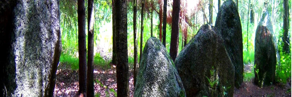 Image Pose abri de piscine Languidic