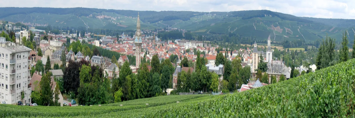 Image Pose abri de piscine Marne