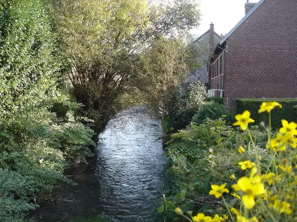 Abri Piscine Aluminium Pose abri de piscine Déville-lès-Rouen