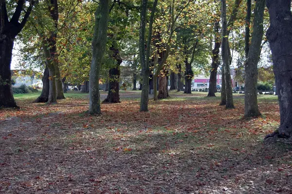 Abri Piscine Aluminium Pose abri de piscine Idron