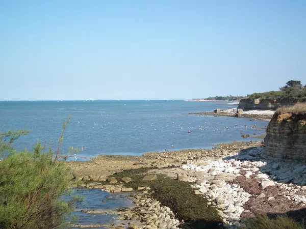 Abri Piscine Aluminium Pose abri de piscine Nouvelle-Aquitaine