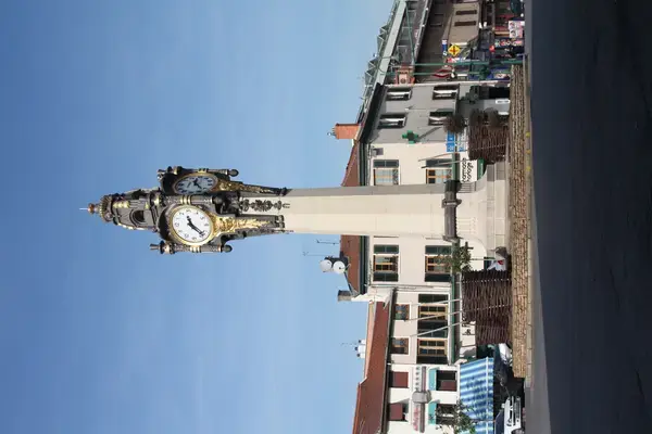 Abri Piscine Aluminium Pose abri de piscine Tassin-la-Demi-Lune